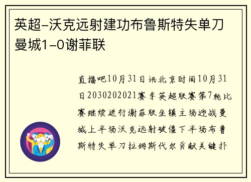 英超-沃克远射建功布鲁斯特失单刀 曼城1-0谢菲联